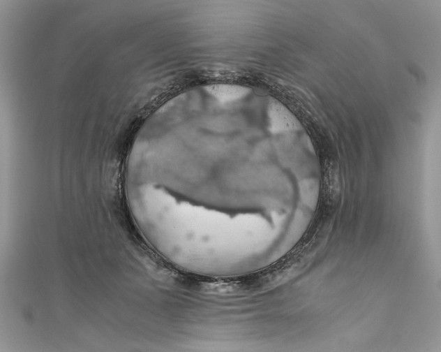 X0000111030511200907161327