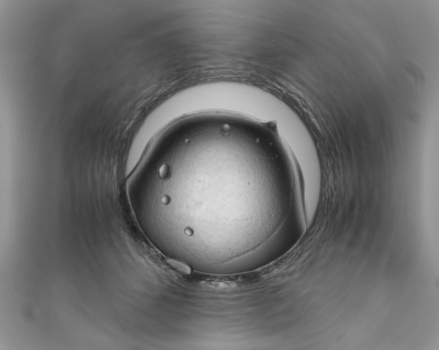 X0000111030512200907161327