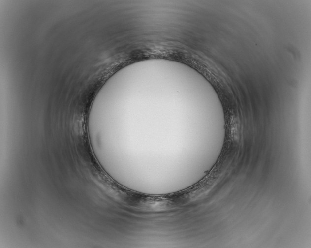 X0000111030514200907161327