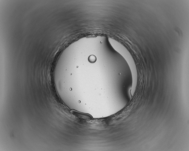 X0000111030516200907161327