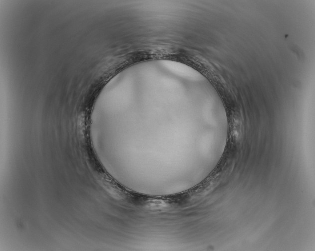 X0000111030519200907161327