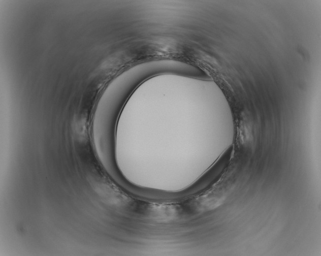 X0000111030520200907161327