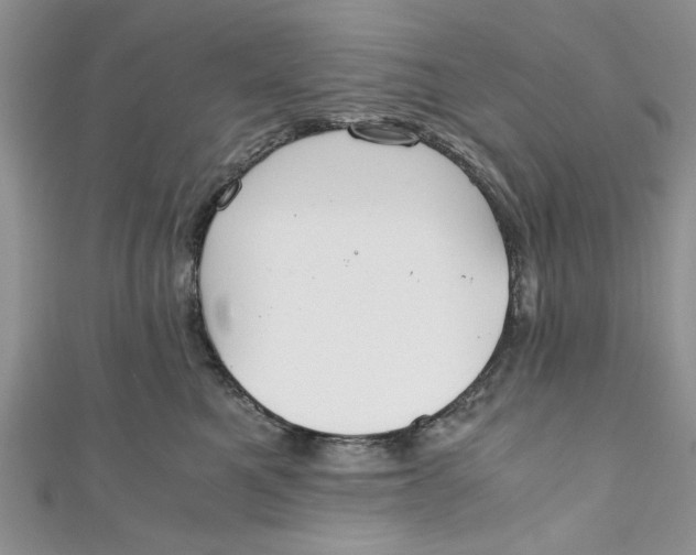 X0000111030521200907161327