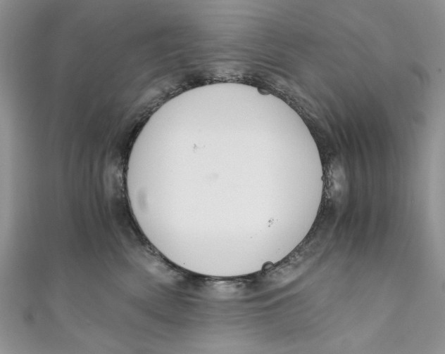 X0000111030522200907161327