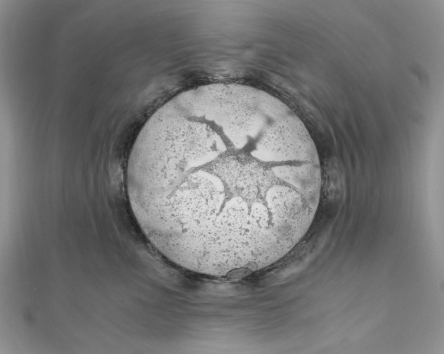 X0000111030523200907161327