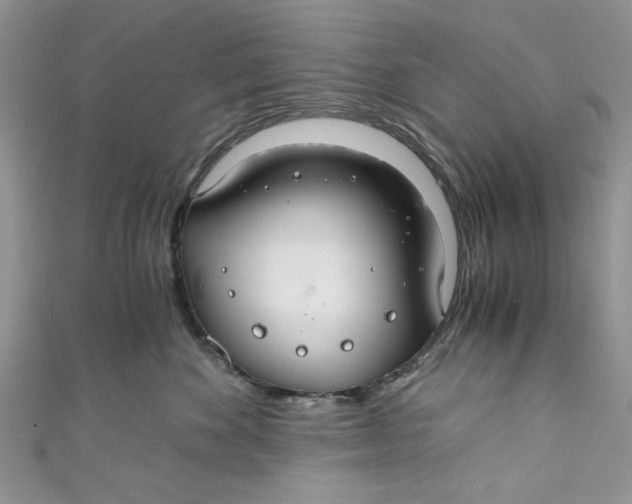 X0000111030524200907161327