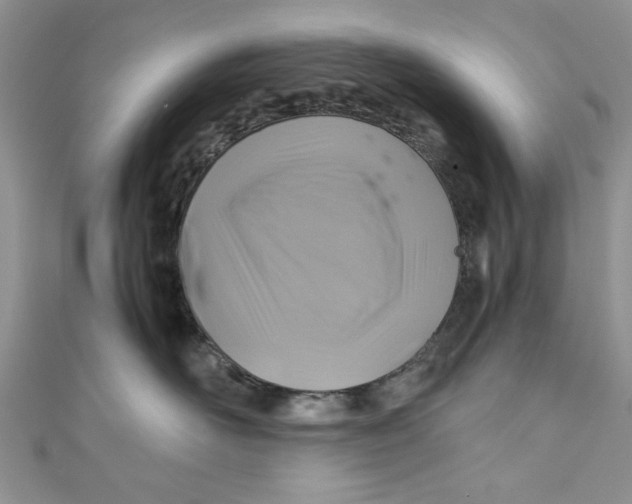 X0000111030526200907161327