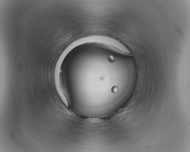 X0000111030528200907161327