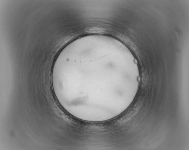 X0000111030529200907161326