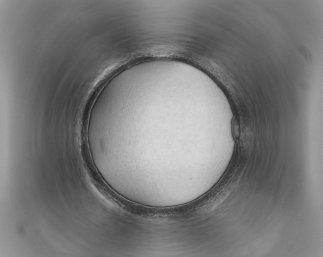 X0000111030530200907161326