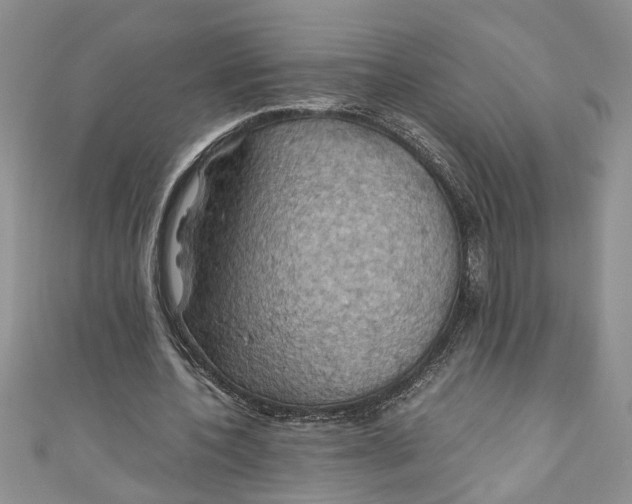 X0000111030532200907161326