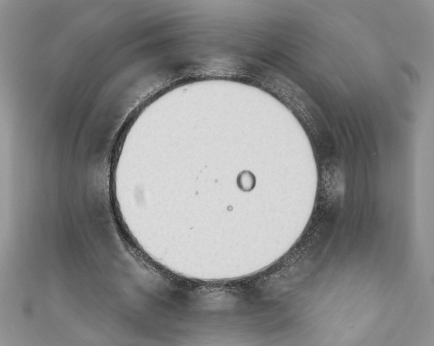 X0000111030534200907161326