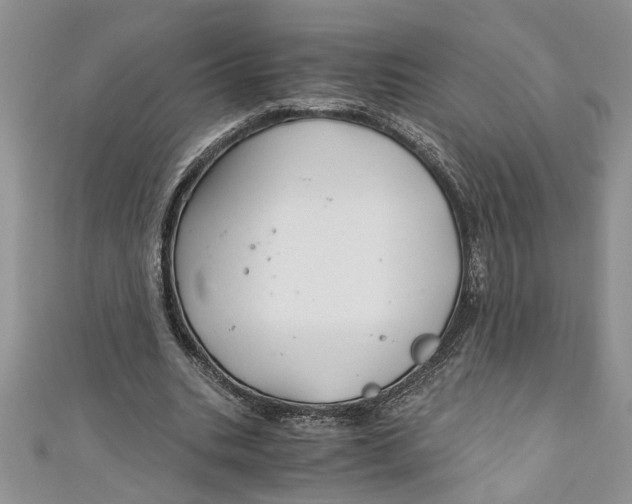 X0000111030535200907161326