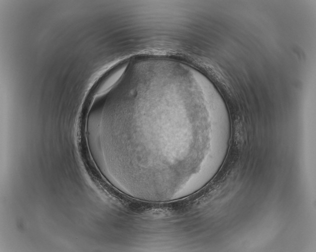 X0000111030536200907161326