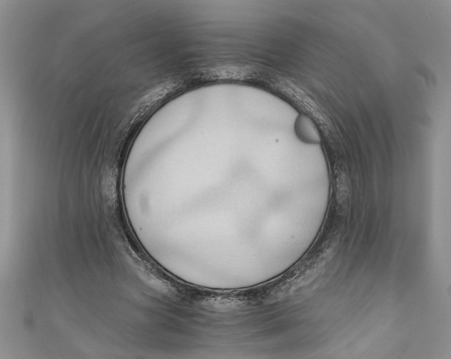 X0000111030537200907161326