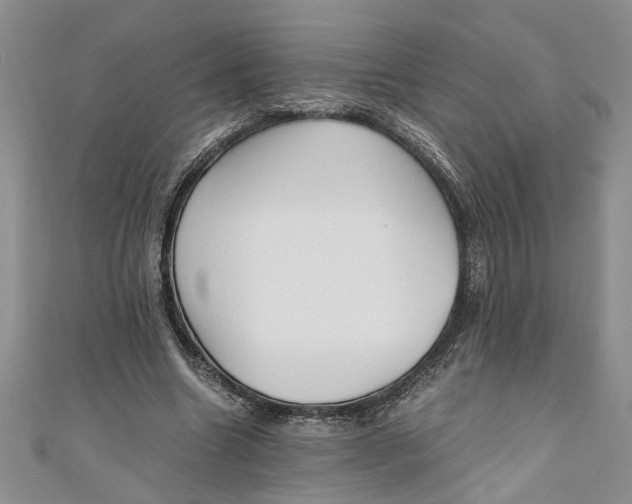 X0000111030538200907161326