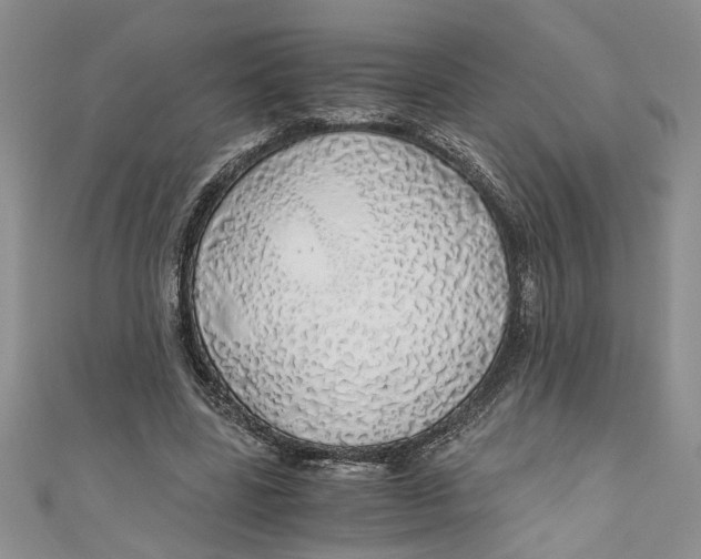 X0000111030539200907161327