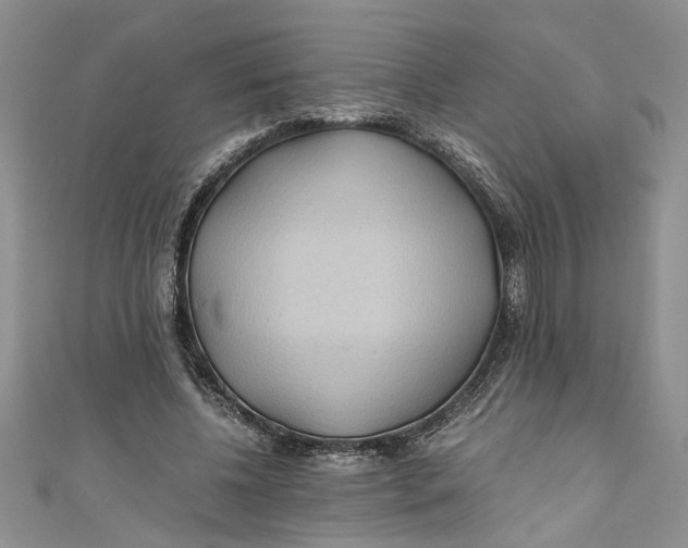 X0000111030540200907161327