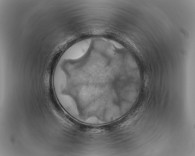 X0000111030542200907161327