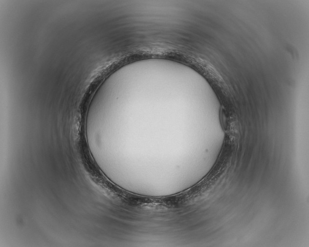 X0000111030544200907161327