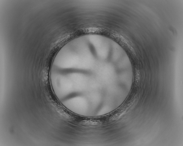 X0000111030545200907161327