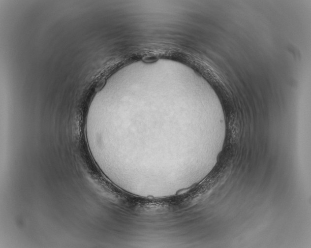 X0000111030546200907161327