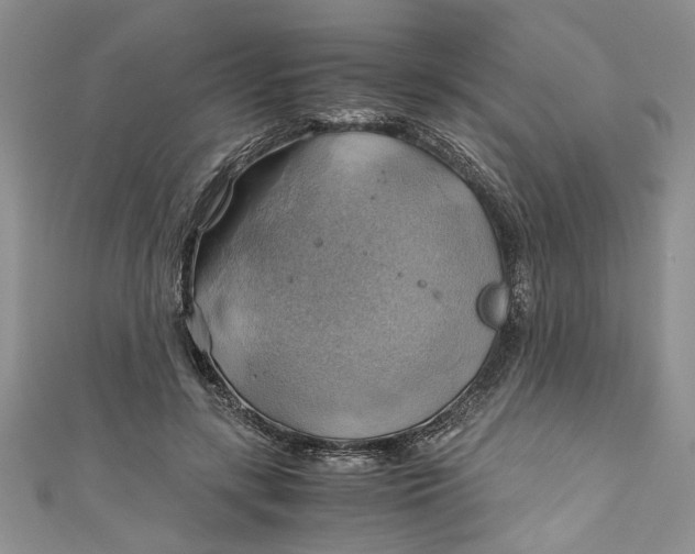 X0000111030547200907161327