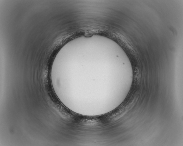 X0000111030548200907161327