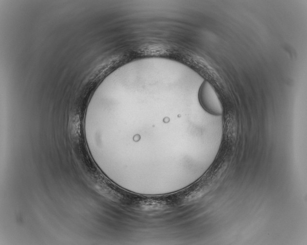 X0000111030549200907161327