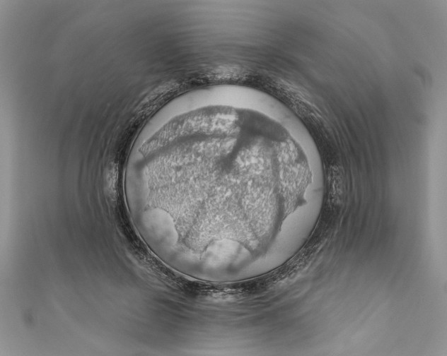 X0000111030550200907161327