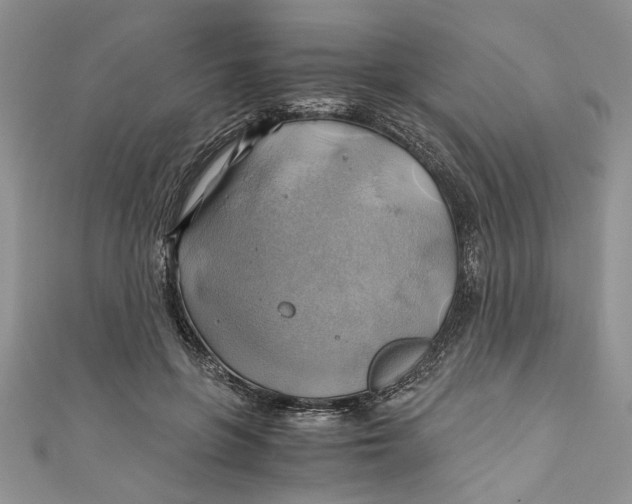 X0000111030551200907161327