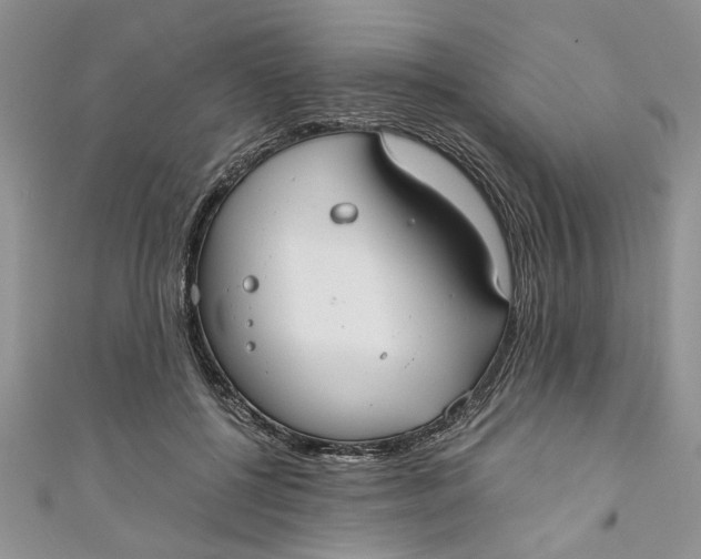 X0000111030552200907161327