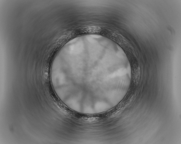 X0000111030553200907161327