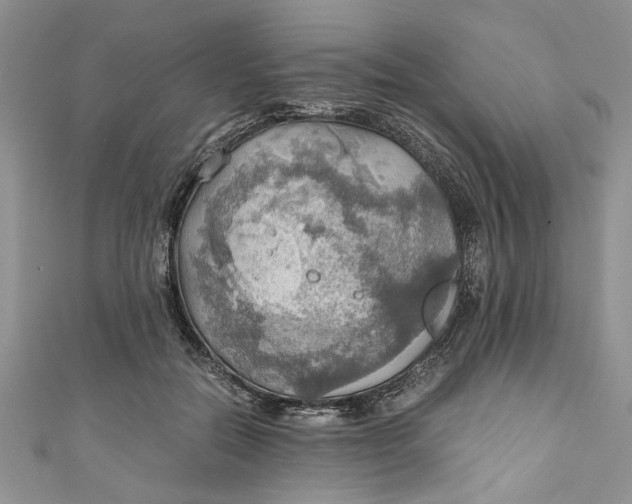 X0000111030554200907161327