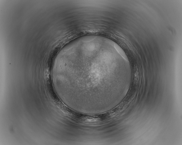 X0000111030555200907161327