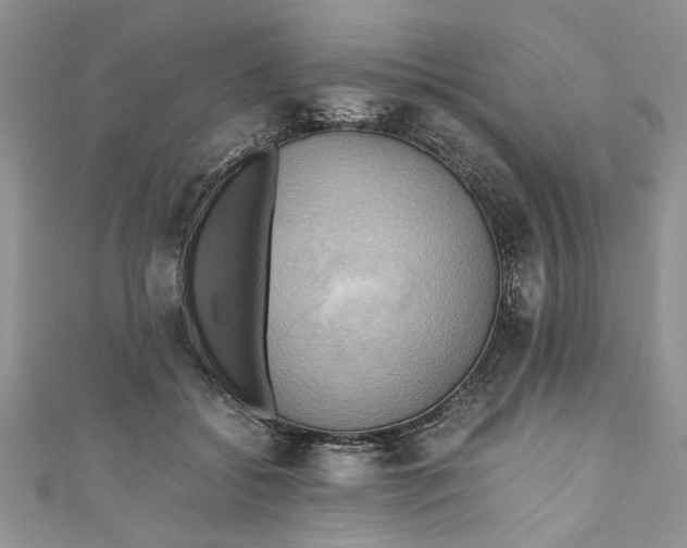 X0000111030556200907161327