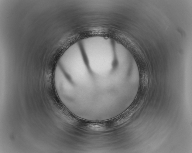 X0000111030557200907161327