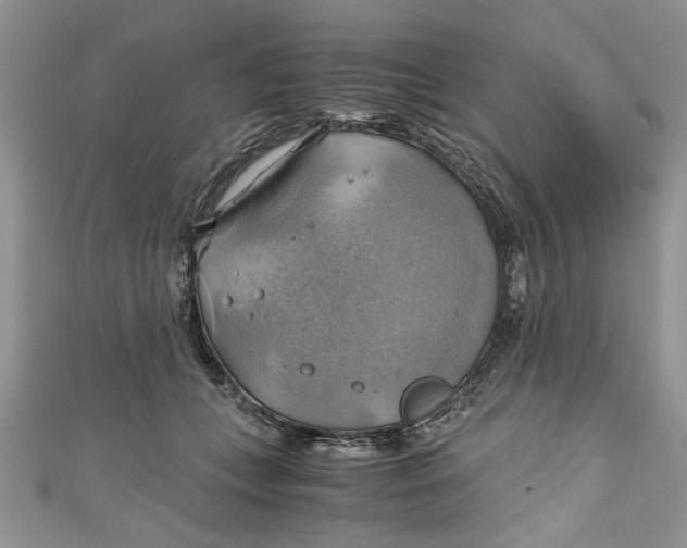 X0000111030559200907161327