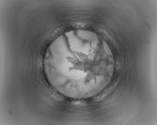 X0000111030561200907161327