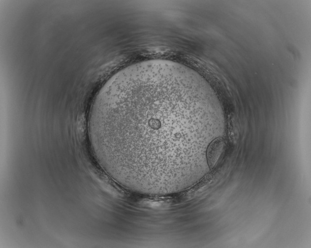 X0000111030563200907161327