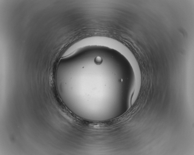 X0000111030564200907161327