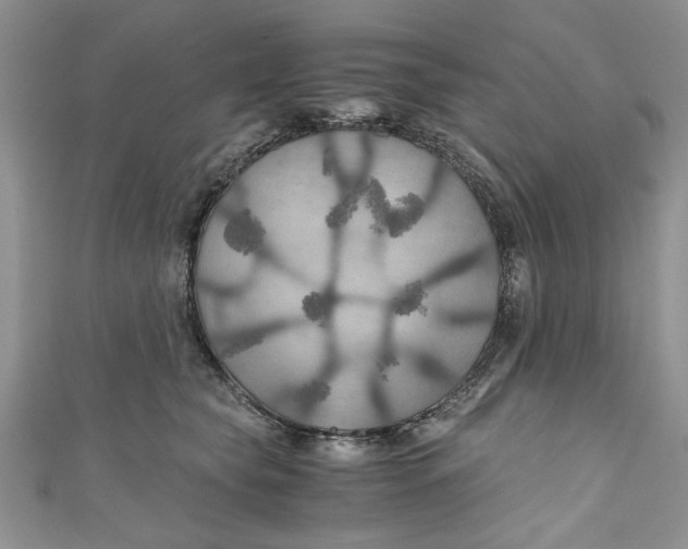 X0000111030565200907161327