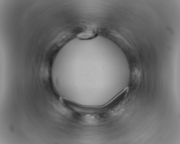 X0000111030566200907161327