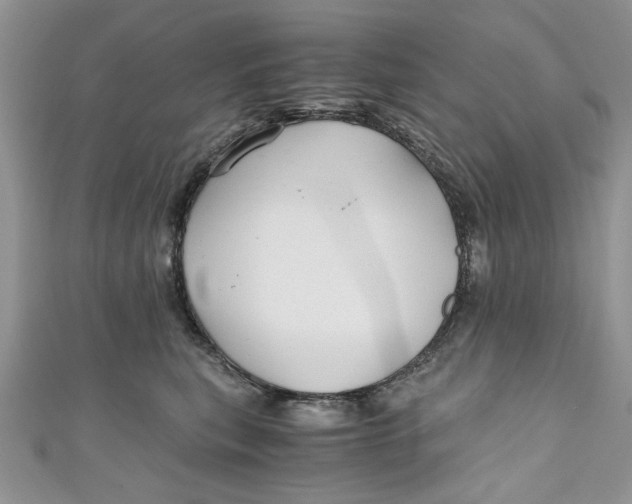 X0000111030567200907161327