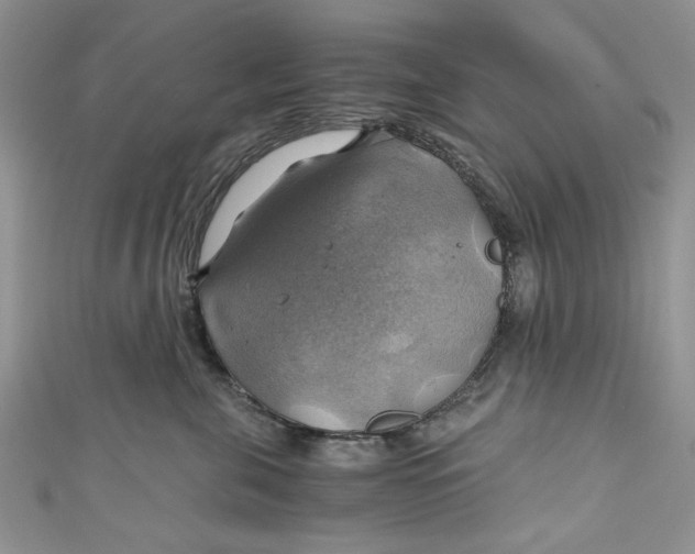 X0000111030571200907161327