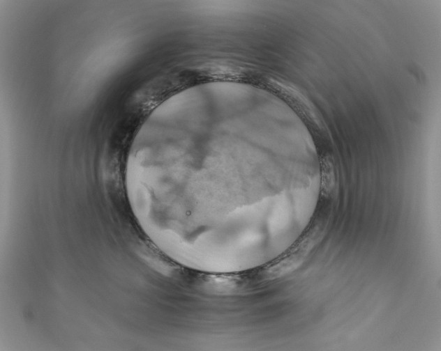 X0000111030573200907161327