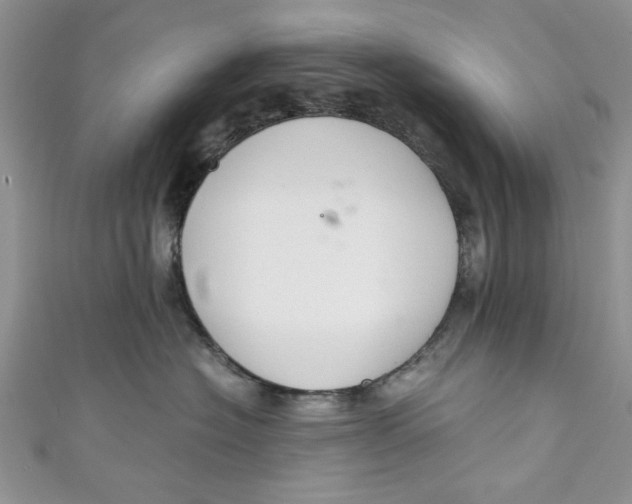 X0000111030574200907161327