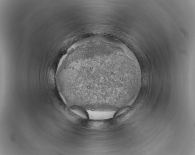 X0000111030575200907161327