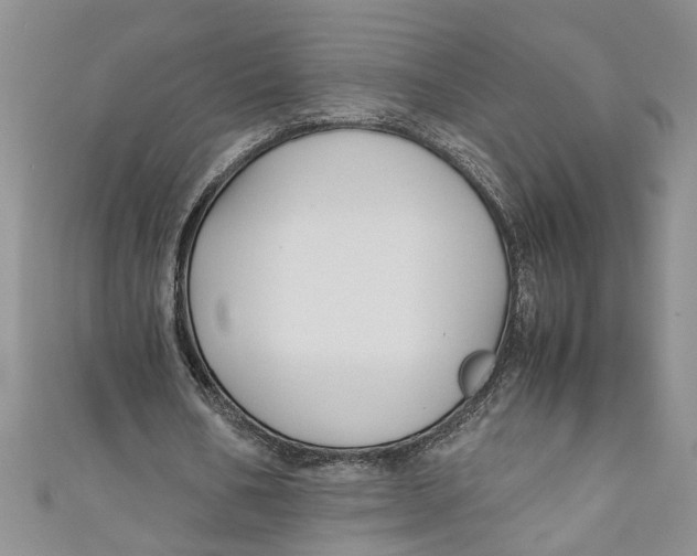 X0000111030578200907161326