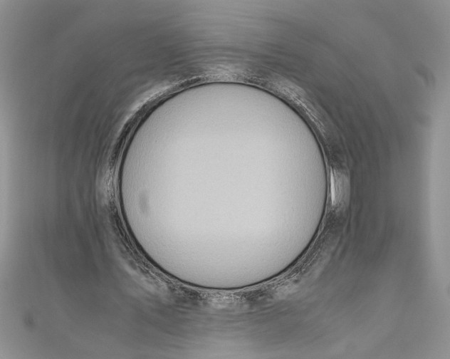 X0000111030579200907161326